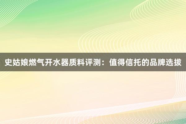 史姑娘燃气开水器质料评测：值得信托的品牌选拔